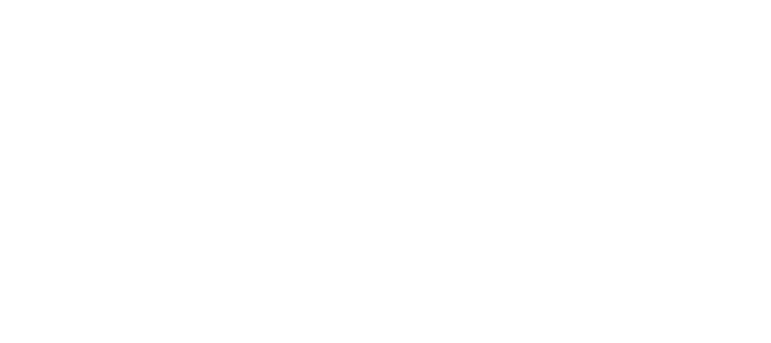 Bobroff logo